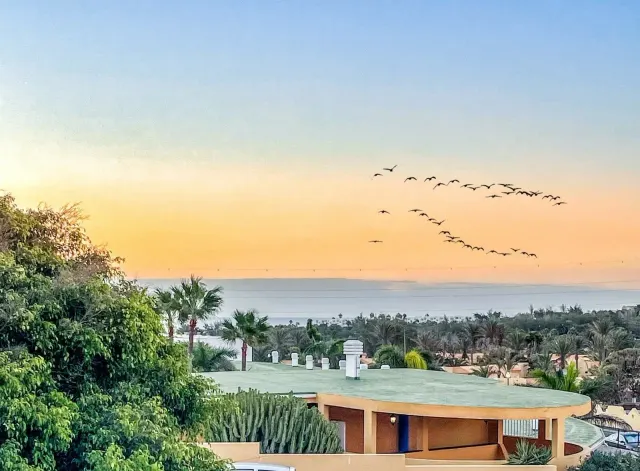 BookNoFees: ενοικιαζόμενο κατάλυμα διακοπών σε Costa Calma, Fuerteventura – Κατοικία με θέα στη θάλασσα στην Κόστα Κάλμα