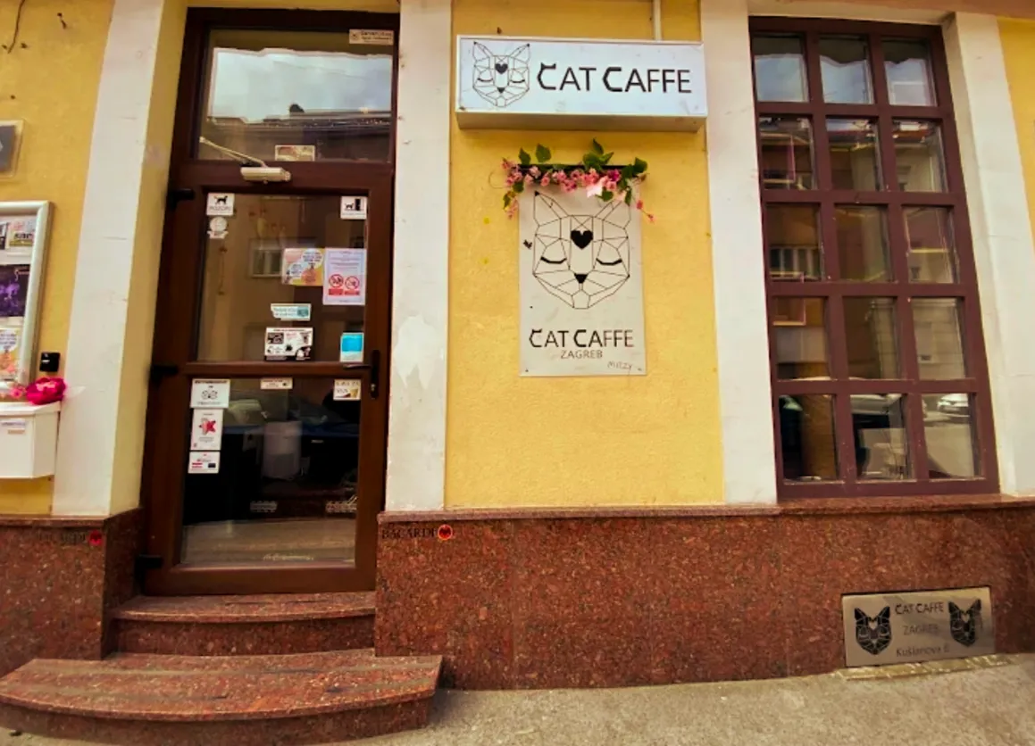 BookNoFees: Καφετέρια – Cat Caffe – Zagreb – Cat Caffe, φωτογραφία 1