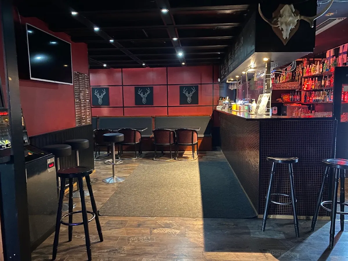 BookNoFees: Εστιατόριο – Bar Bumerang – Helsinki – Μπαρ «Bumerang», φωτογραφία 1