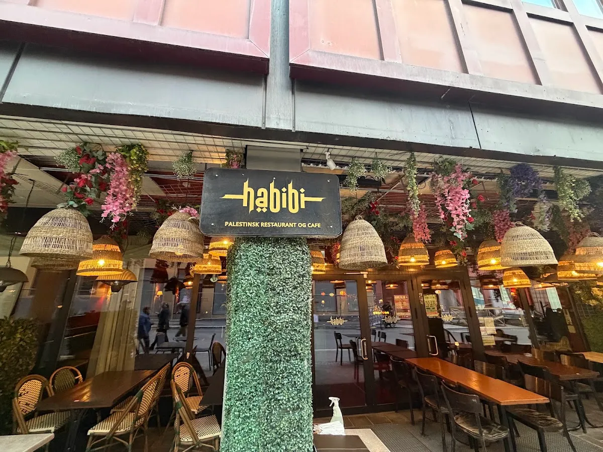 BookNoFees: Εστιατόριο – Habibi Restaurant – Oslo – Εστιατόριο Habibi, φωτογραφία 1